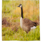 Kanada Gans in farbenfrohen Feldern Duschvorhang (Vorderseite)