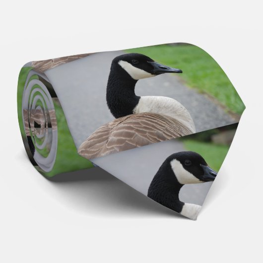 Kanada-Gans Krawatte (Gerollt)
