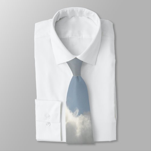 KANADA-GANS MIT WOLKEN KRAWATTE (Gebunden)