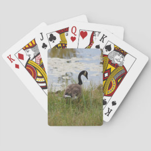 Kanada-Gans-Spielkarten Spielkarten