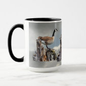 KANADA-GANS TASSE (Links)