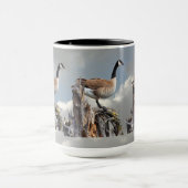KANADA-GANS TASSE (Zentrum)