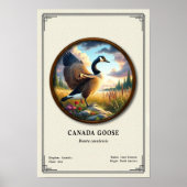 Kanada-Gans-Zoologie-Poster der Serie Poster (Vorne)