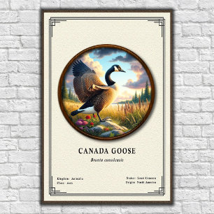 Kanada-Gans-Zoologie-Poster der Serie Poster