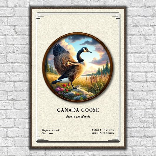 Kanada-Gans-Zoologie-Poster der Serie Poster