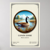 Kanada-Gans Zoologie-Serie Poster (Vorne)