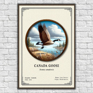 Kanada-Gans Zoologie-Serie Poster
