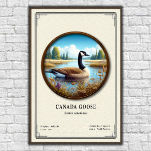 Kanada-Gans Zoologie-Serie Poster