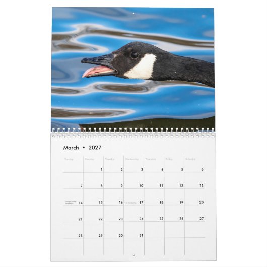 Kanada Gänse 2026 Kalender (Mär 2027)