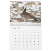 Kanada Gänse 2026 Kalender (Jan 2027)