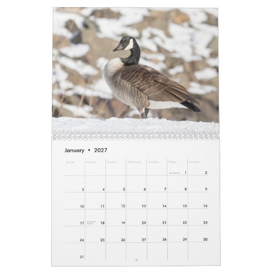 Kanada Gänse 2026 Kalender (Jan 2027)