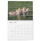 Kanada Gänse 2026 Kalender (Feb 2027)