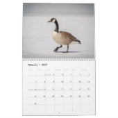 Kanada Gänse 2026 Kalender (Feb 2027)
