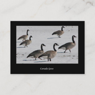 Kanada-Gänse ATC Visitenkarte
