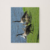 Kanada-Gänse auf dem Gras durch das Wasser Puzzle (Vertikal)