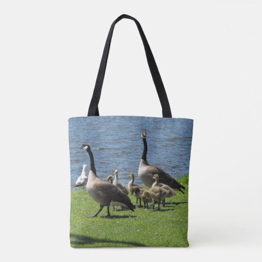 Kanada-Gänse auf dem Gras durch das Wasser Tasche (Rückseite)