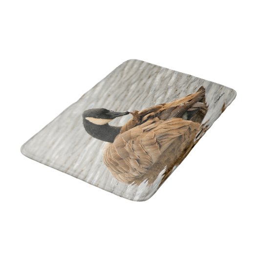 Kanada Gänse auf dem See Badematte (Schrägansicht)