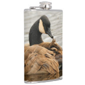 Kanada Gänse auf dem See Flachmann (Rechts)