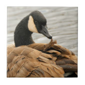 Kanada Gänse auf dem See Fliese (Vorderseite)