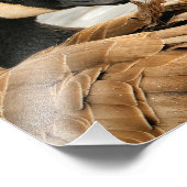 Kanada Gänse auf dem See Fotodruck (Ecke)