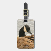 Kanada Gänse auf dem See Gepäckanhänger (Vorderseite vertikal)