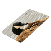 Kanada Gänse auf dem See Magnet (Linke Seite)