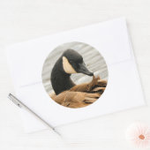 Kanada Gänse auf dem See Runder Aufkleber (Umschlag)