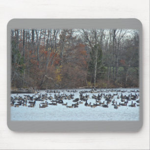 Kanada Gänse auf grünem Lane-Reservoir Mousepad