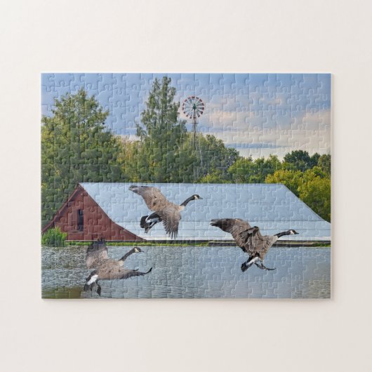 Kanada-Gänse, die auf dem Teich landen Puzzle (Horizontal)