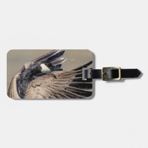 Kanada Gänse Gepäckanhänger