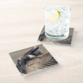 Kanada Gänse Glasuntersetzer (Schrägansicht)