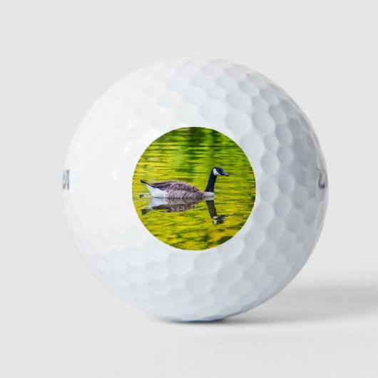 Kanada Gänse Golfball (Vorderseite)