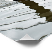 Kanada Gänse haben ein Gänse! Poster (Ecke)