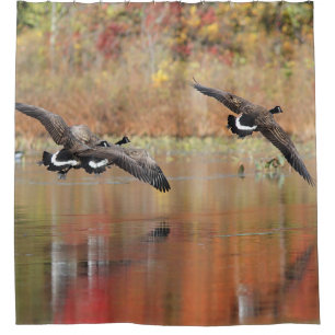 Kanada-Gänse im Flug Duschvorhang