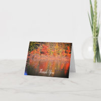 Kanada Gänse im Herbst Natur Danke Karte