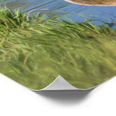 Kanada Gänse in Wasser-Öl-Malerei Poster (Ecke)