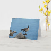 Kanada Gänse Karte (Gelbe Blume)