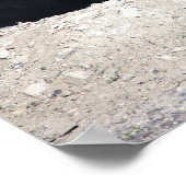 Kanada Gänse mit Babies Poster (Ecke)