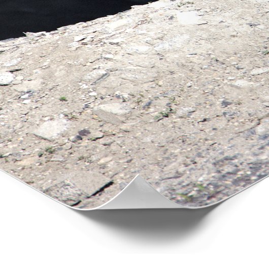 Kanada Gänse mit Babies Poster (Ecke)