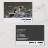 Kanada Gänse mit Goslings Visitenkarte (Vorne/Hinten)