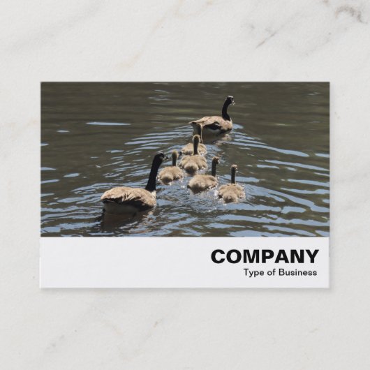 Kanada Gänse mit Goslings Visitenkarte (Vorderseite)