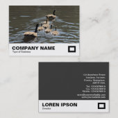 Kanada Gänse mit Goslings Visitenkarte (Vorne/Hinten)