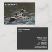 Kanada Gänse mit Goslings Visitenkarte (Vorne/Hinten)