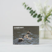 Kanada Gänse mit Goslings Visitenkarte (Stehend Vorderseite)