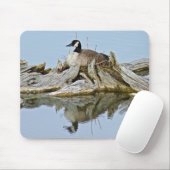Kanada Gänse Mousepad (Mit Mouse)