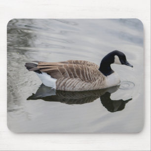 Kanada Gänse Mousepad