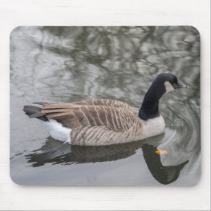 Kanada Gänse Mousepad