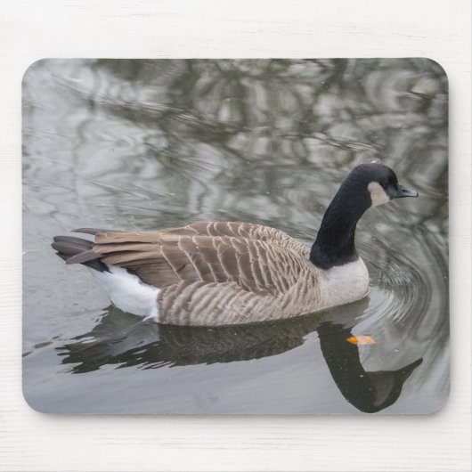 Kanada Gänse Mousepad (Vorne)