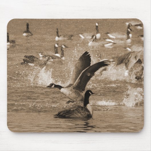 Kanada-Gänse Mousepad (Vorne)