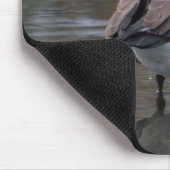 Kanada Gänse Mousepad (Ecke)
